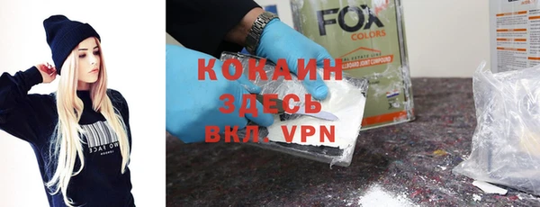гашик Алексеевка