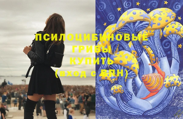 таблы Алексин