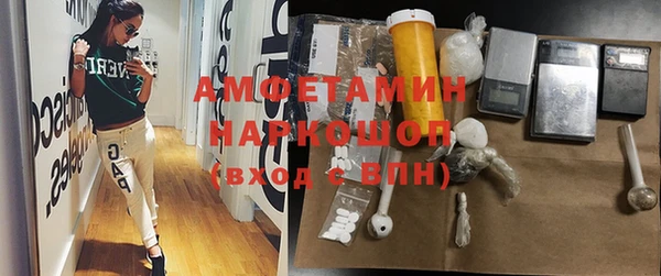 гашик Алексеевка