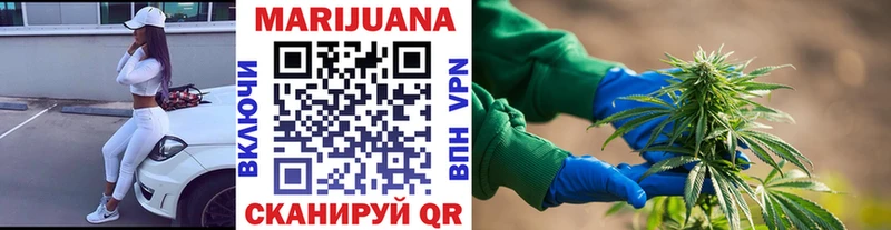 где найти наркотики  Зеленогорск  Марихуана гибрид 